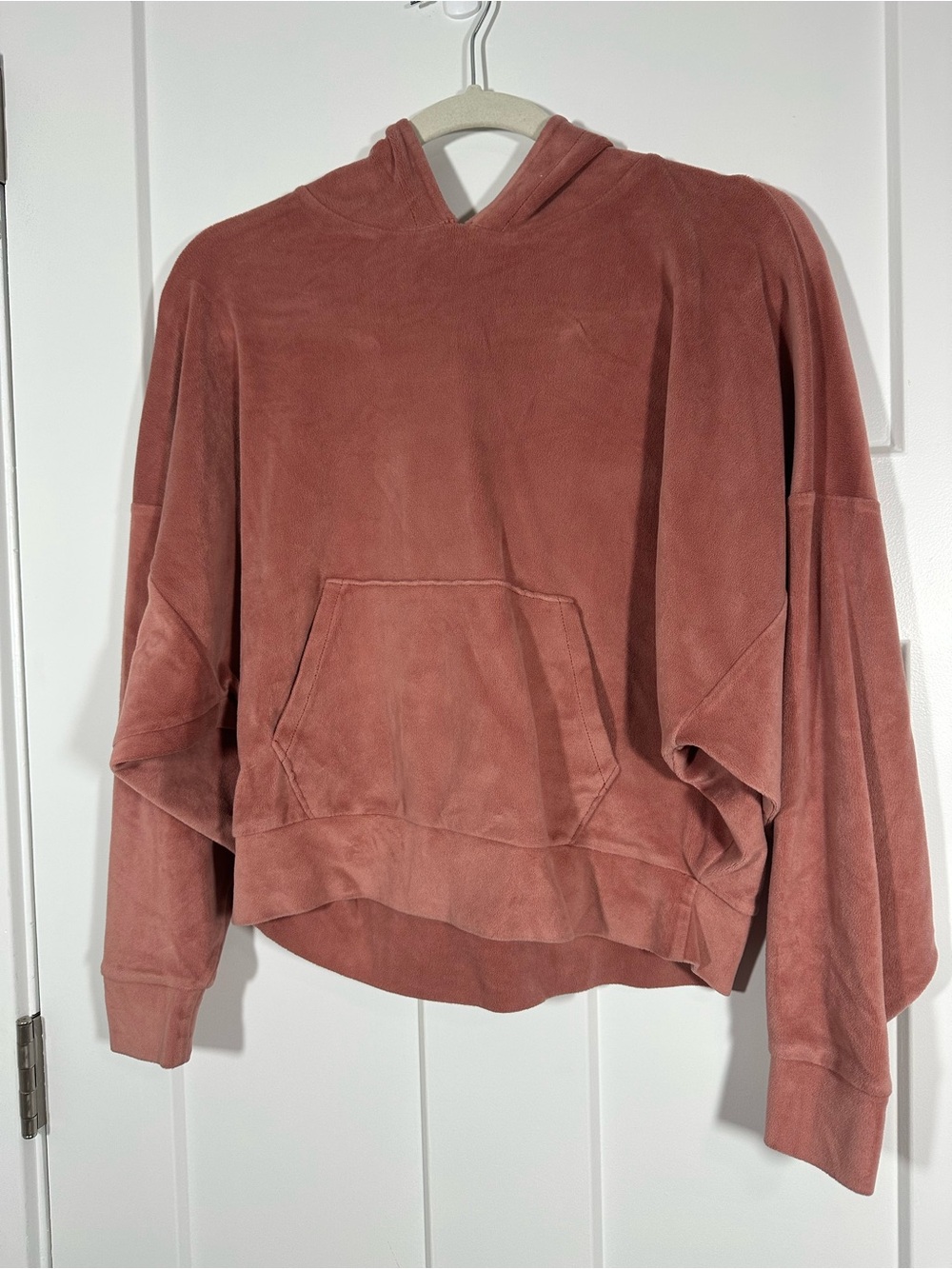 American Eagle Outfitters Rosewood Plush Hoodie